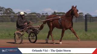 12 Orlando Vici – The Quiet Storm 1 [upl. by Ellsworth]