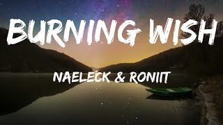 Naeleck  Burning Wish feat Roniit [upl. by Eeluj458]