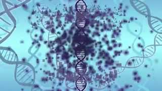 Your DNA the Environment and Epigenetics [upl. by Allisirp]