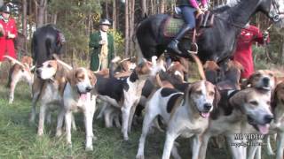 CAPPENBERGER MEUTE HERZEBROCK 2016 [upl. by Beall]