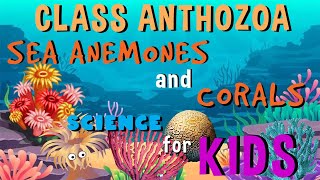 Class Anthozoa  Sea Anemones and Corals  Invertebrates Animals  Science for Kids [upl. by Feigin]