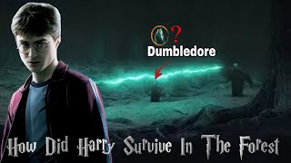 How Did Harry Potter Survive In The Forbidden Forest Hindi  Every Theory Explained [upl. by Caine]