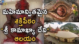 మహిమాన్వితమైన శక్తిపీఠం quotశ్రీ కామాఖ్యా దేవి ఆలయంquot  KamrupKamakhya  Guwahati Assam  Eyecon Facts [upl. by Gert]