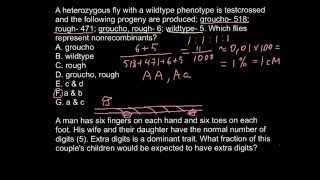 Linkage and recombination [upl. by Cryan776]