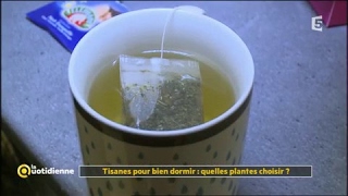 Tisane pour bien dormir  quelle plante choisir   La Quotidienne [upl. by Poppas915]