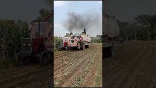 Belarus tractor stunting video with trolley in field [upl. by Llenaj]