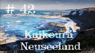 Kaikoura Walk Neuseeland  Weltreise Vlog  Work and Travel 42 [upl. by Hotze48]