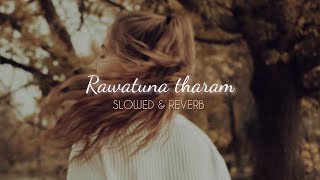 Rawatuna Tharam SLOWED amp REVERB [upl. by Nagle]