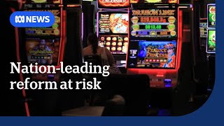 Growing calls for Tasmanian government to release terms of cashless gaming  ABC News [upl. by Stacia]