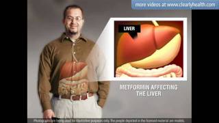 Diabetes Metformin medication [upl. by Siraf704]