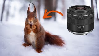 Canon RF 35mm f18  MUSTHAVE Objektiv für Naturfotografen [upl. by Essyla]