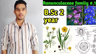 Ranunculaceae family floral formula daigram and Economic importance BSc 2 year [upl. by Nnylyma]