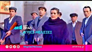 ΑΓΡΙΕΣ ΜΕΛΙΣΣΕΣ  ΕΠΕΙΣΟΔΙΟ 57 ΠΕΜΠΤΗ 1612020  TRAILER FULL HD [upl. by Cammy187]