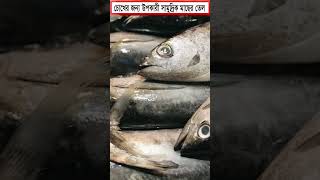 চোখের জন্য উপকারী সামুদ্রিক মাছের তেল  Marine fish oil is beneficial for eyes shortsfeed [upl. by Afatsuom]