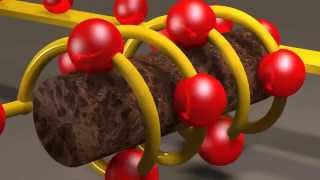 Inductors and Inductance [upl. by Robers790]