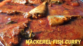 MACKEREL FISH RECIPE ANDHRA STYLE MACKEREL FISH CURRY VERY TASTY MACKEREL FISH CURRY FISH CURRY [upl. by Winshell725]