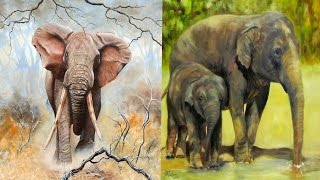 All Elephant Subspecies  Species List ReUpload [upl. by Arinaid]