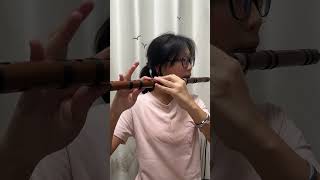 Basic Triple Tonguing Technique ExerciseC key dizi flute PlayerCandy diziflute dizi flute [upl. by Bevers219]