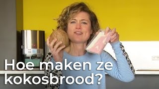 Hoe wordt kokosbrood gemaakt  Het Klokhuis [upl. by Emmett]