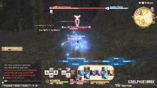 Final Fantasy XIV A Realm Reborn  Conjurer Hunting Log Rank 2  1120 [upl. by Hendel]