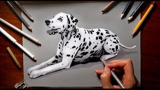 Pencil Drawing of a Dalmatian Dog  Speed Draw  Jasmina Susak [upl. by Hillie]