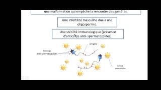 SVT  LA PROCREATION  EP4  la fivete  Bac math et sc [upl. by Cynthia]