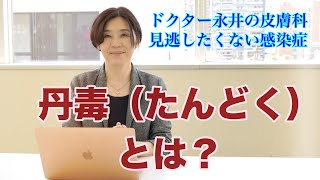 【ドクター永井の皮膚科】丹毒（たんどく）とは？ 〜見逃したくない皮膚感染症〜 [upl. by Arhas179]