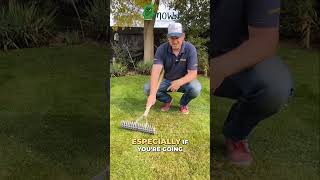 Transform Your Lawn  The Ultimate Thatch Removal Tool [upl. by Cogan961]