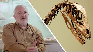 Interview  comment se forment les fossiles de dinosaures [upl. by Aidul66]