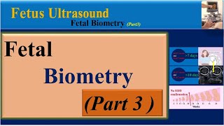 Fetus Ultrasound Fetal Biometry  Part3 [upl. by Maker]