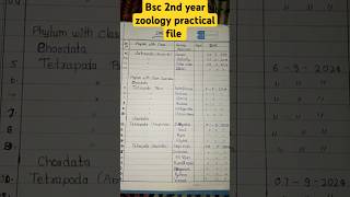 Zoology practical file BSC 2nd year  short video [upl. by Aisatal]
