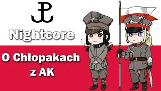 Nightcore  O chłopakach z AK  Warsaw Uprising Song [upl. by Etterual]