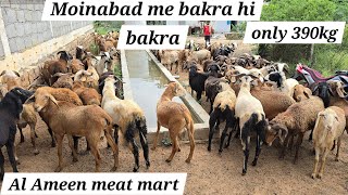 Saste bakre in moinabad at Al Ameen meat mart  telangana sheeps lots available in moinabad [upl. by Ehrsam531]