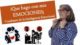 Cuadrante de la Inteligencia Emocional [upl. by Sussman]