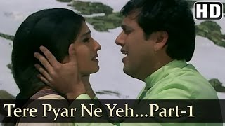 Tere Pyar Ne  Govinda  Raveena Tandon  Rajaji  Udit Narayan  Anand Milind  Hindi Hit Songs [upl. by Skyler569]