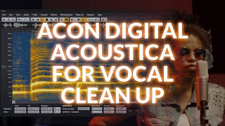 Use Acon Acoustica To Clean Up Vocals [upl. by Samuele]