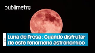 Luna de Fresa 2024 Dónde y cuándo ver este fenómeno [upl. by Yelena281]