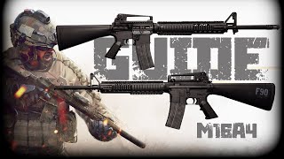 M16A4 GUN GUIDE Insurgency Sandstorm [upl. by Aer]