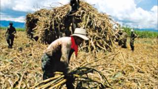 Himno al Valle del Cauca [upl. by Eugor]