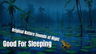 Original Nature Sounds at Night  Frogs Crickets Light Rain in the Swamp For A Good Sleep [upl. by Rashida]