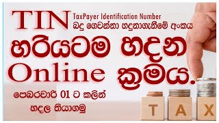 How to Register for TIN Taxpayer Identification Number in Sri Lanka  Cash Logics [upl. by Aenad]