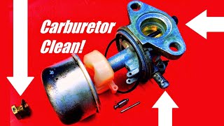 How to Fix a Lawn Mower by Cleaning the Carburetor Briggs amp Stratton and Tecumseh [upl. by Ferro]