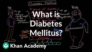 What is diabetes mellitus  Endocrine system diseases  NCLEXRN  Khan Academy [upl. by Brick]