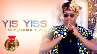 Endi Andinet Ali  Yis Yiss  New Ethiopian Music 2020 Official Video [upl. by Obara]