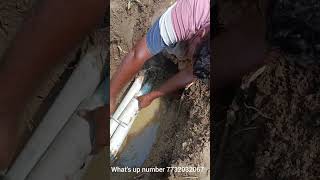 A drip irrigation pipe was installed  See how to fix a simple burst pipe  Troubles for water [upl. by Boser]