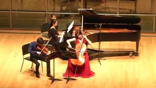 Tchaikovsky Piano Trio in A minor Op 50 [upl. by Birgit]