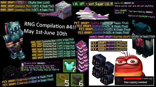 SO MANY PETS Hypixel Skyblock RNG Compilation 4 [upl. by Ococ]