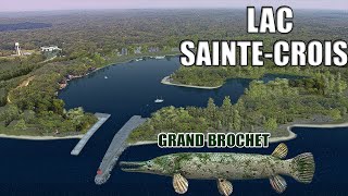 🐟 FISHING PLANET 🐟  Spot a grand brochet LAC SAINTECROIX [upl. by Jews420]