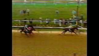 1979 Belmont Stakes  Coastal  CBS Broadcast [upl. by Pallua521]