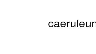 How to pronounce caeruleum [upl. by Amelita565]